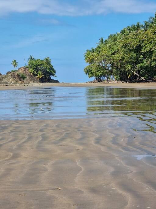 Villa Amor Del Mar With Breathtaking View Of Ocean & Jungle Dominical Exterior foto