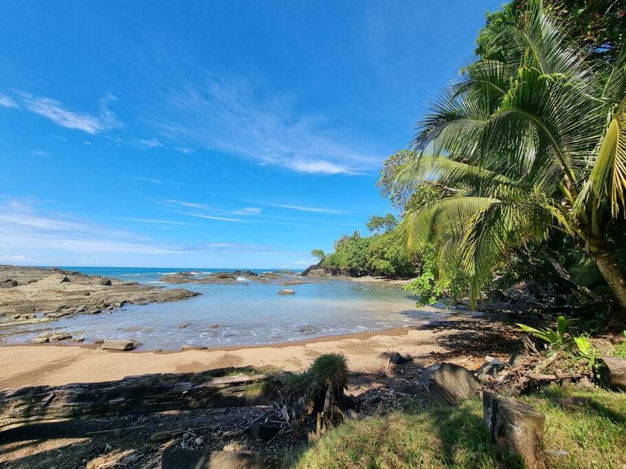 Villa Amor Del Mar With Breathtaking View Of Ocean & Jungle Dominical Exterior foto